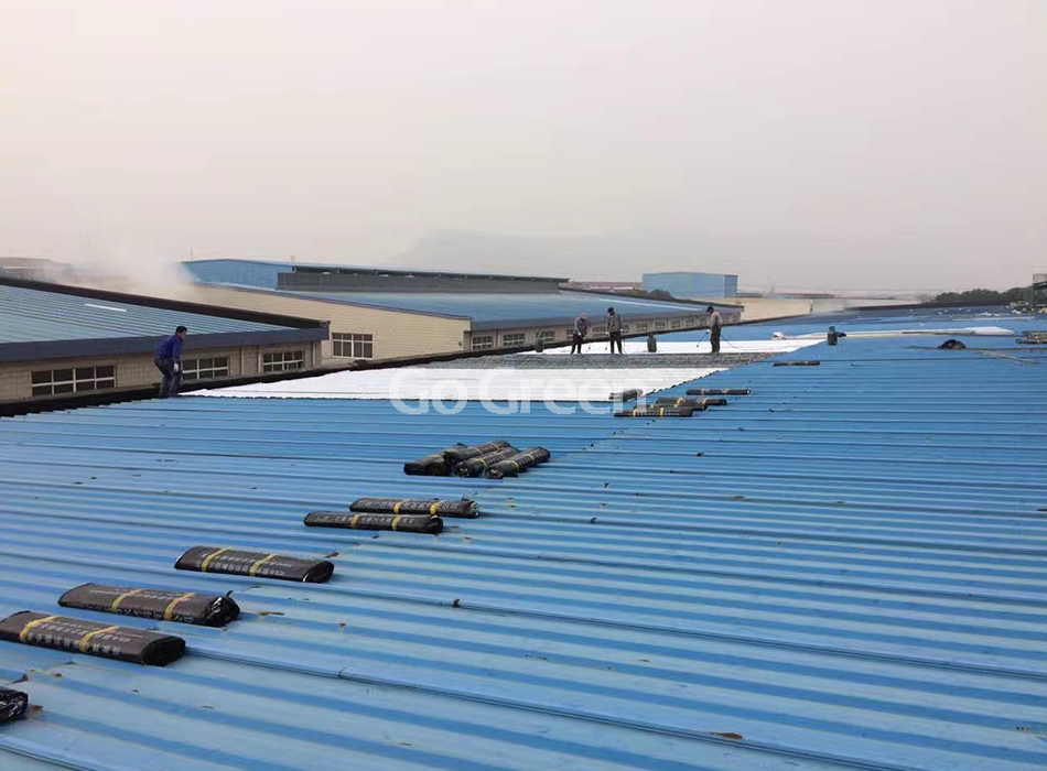 Asphalt Waterproof Membrane