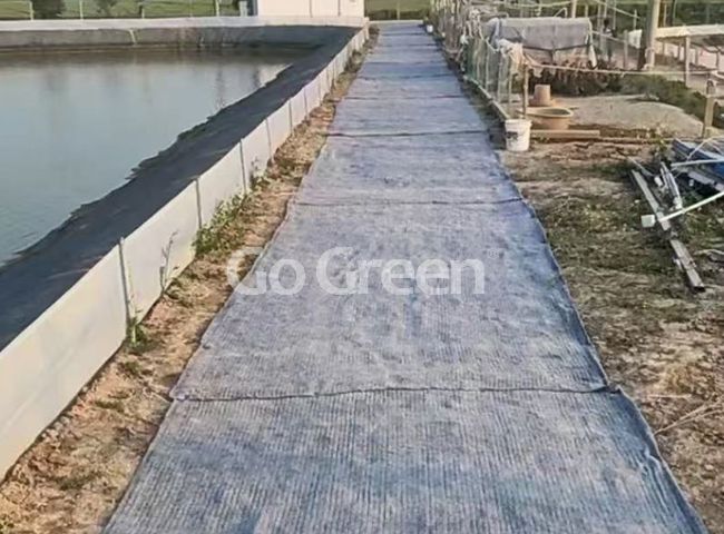 Concrete Canvas