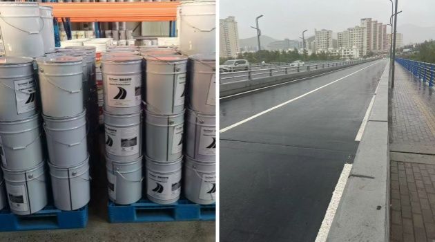 Road Projects in Croatia and Mongolia