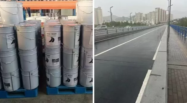 Road Projects in Croatia and Mongolia